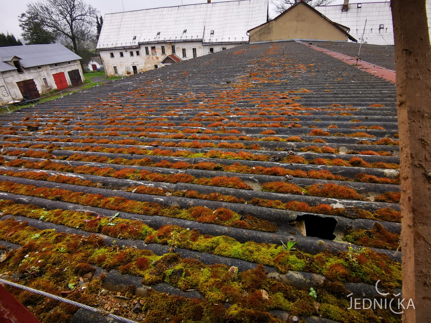 Jednička v roce 2023